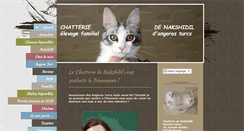 Desktop Screenshot of nakshidil.com