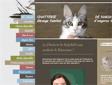 Tablet Screenshot of nakshidil.com